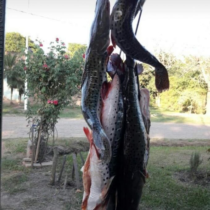 Pescadería Z.O.